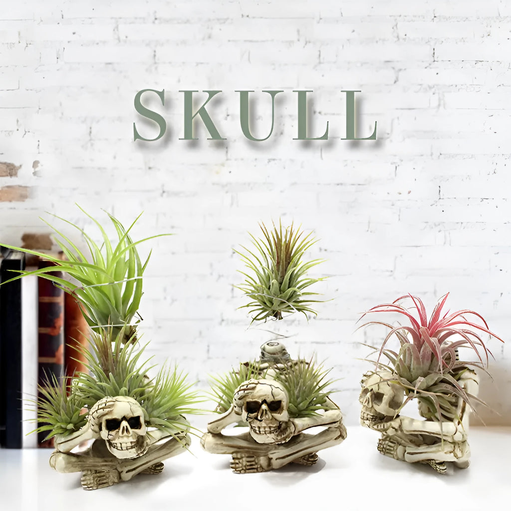 Gothic resin skull wall bracket for Tillandsia air plants, showing detailed design and size.