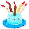 Blue felt dog birthday hat with elastic band shown on small dog for size reference