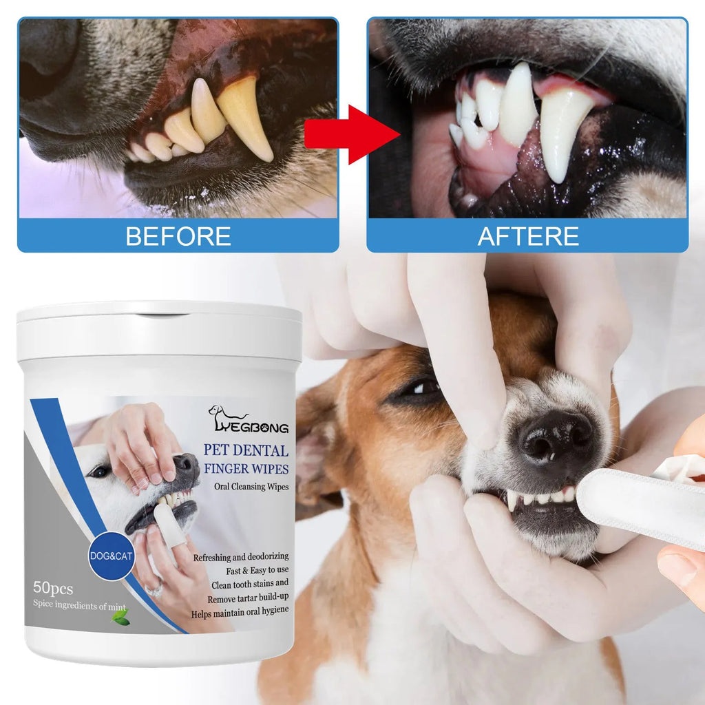Pet teeth finger wipes 50 pieces per can with finger stall for dog oral care