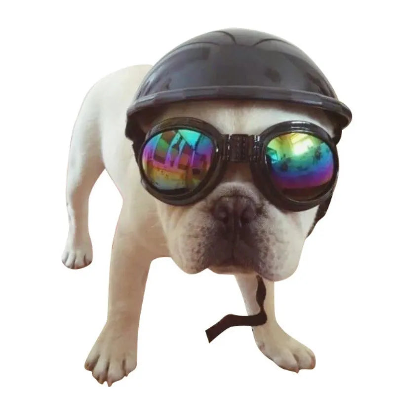 Solid colour plastic motorcycle cap helmet for dogs in pink, shown in small size.
