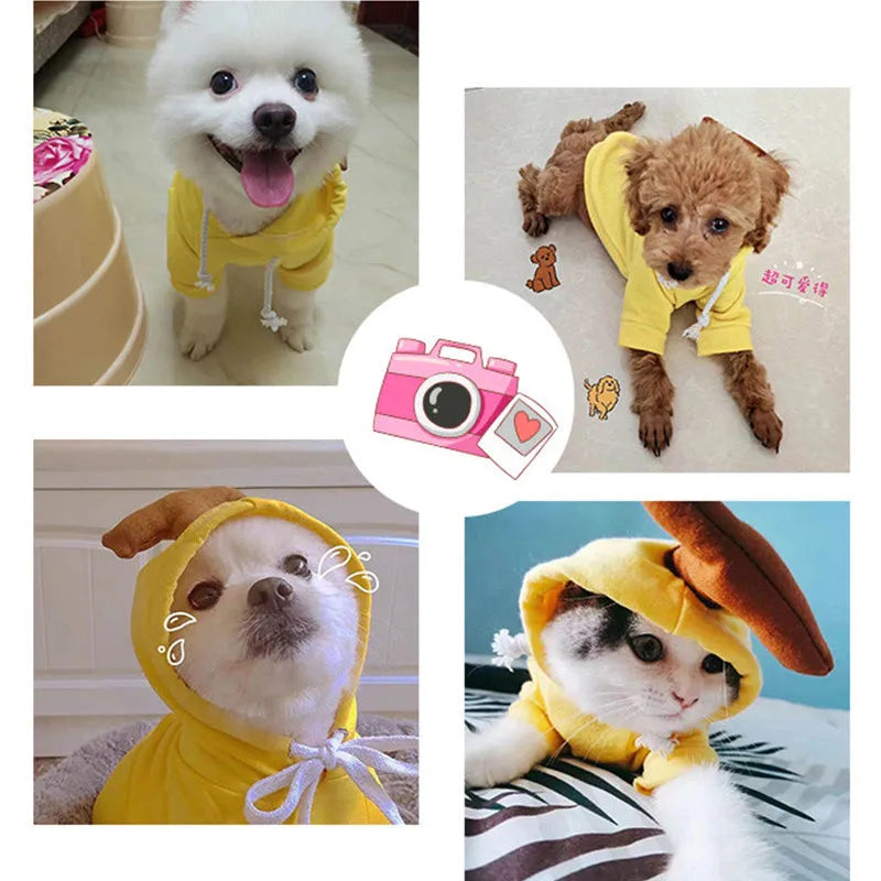 Cute fruit pattern drawstring fleece dog hoodie for small breeds French Bulldog and Chihuahua