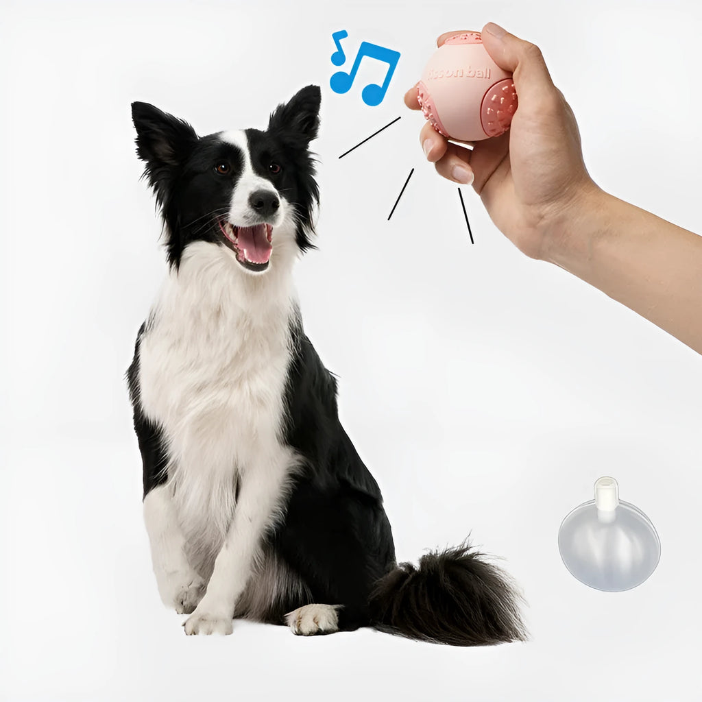 Green rolling ball dog toy with 64mm diameter for small and medium dogs
