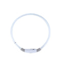 Blue LED dog collar glowing around dog's neck with USB charging cable