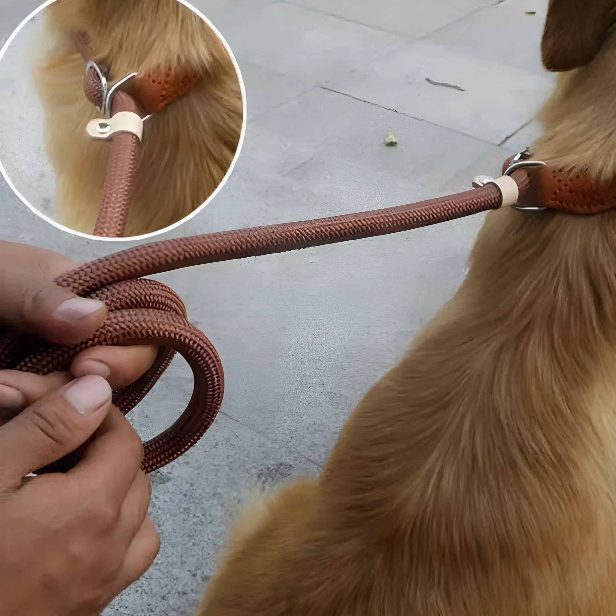 Brown nylon dog leash with a metal P-chain integrated into the handle loop.