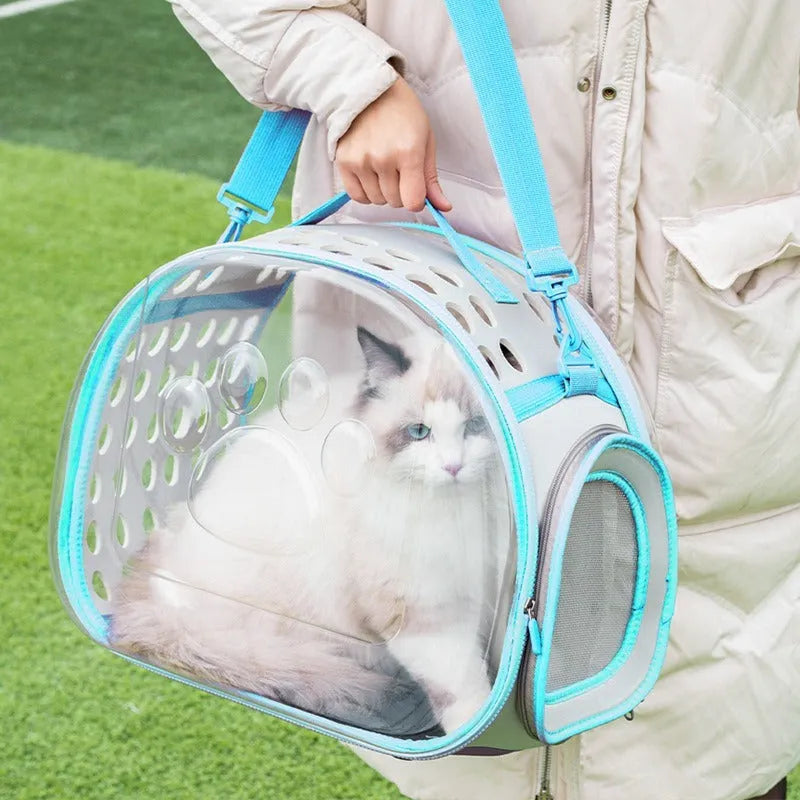 Large transparent hard EVA space capsule-style cat backpack carrier in grass green colour.