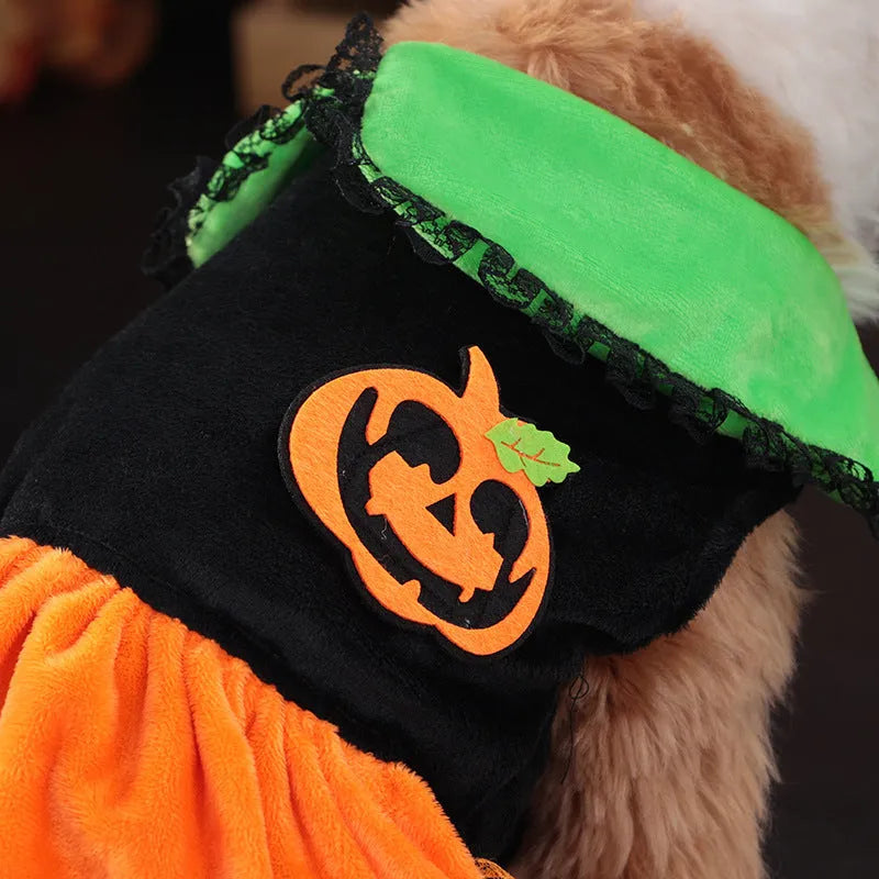 Orange Halloween pumpkin skirt pet costume for small dogs made from crystal velvet fabric
