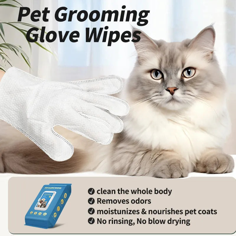 Pet disposable gloves for cat bathing and cleaning supplies in multiple pack options