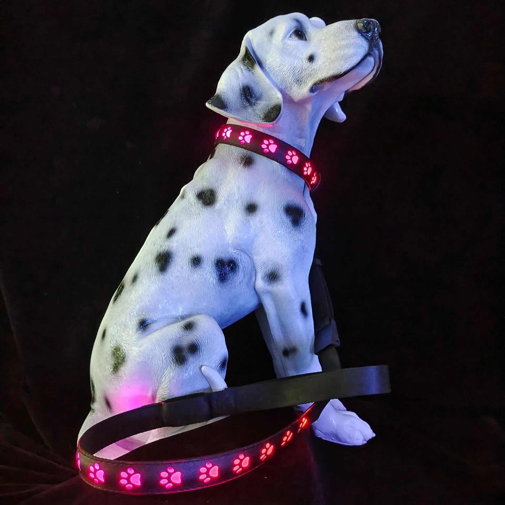 USB rechargeable LED luminous pet collar showing seven colour modes on adjustable polyester band