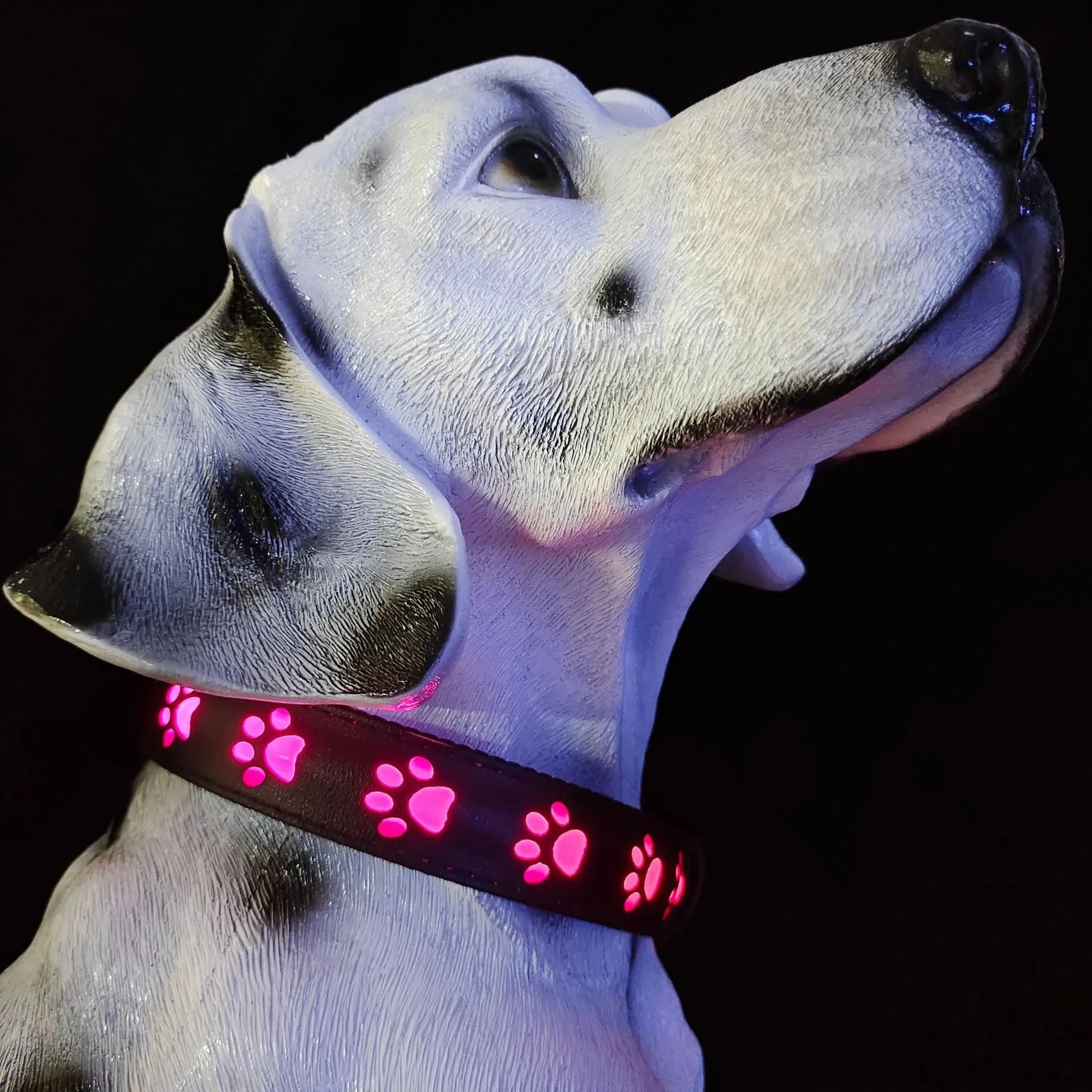 USB rechargeable LED luminous pet collar showing seven colour modes on adjustable polyester band