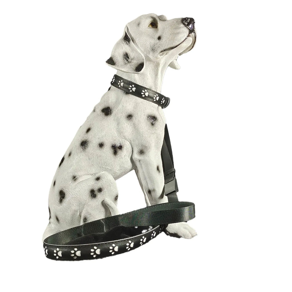 USB rechargeable LED luminous pet collar showing seven colour modes on adjustable polyester band