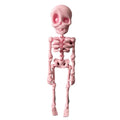 3D printed PLA skull refrigerator magnet in various colours, 18cm high Halloween decoration