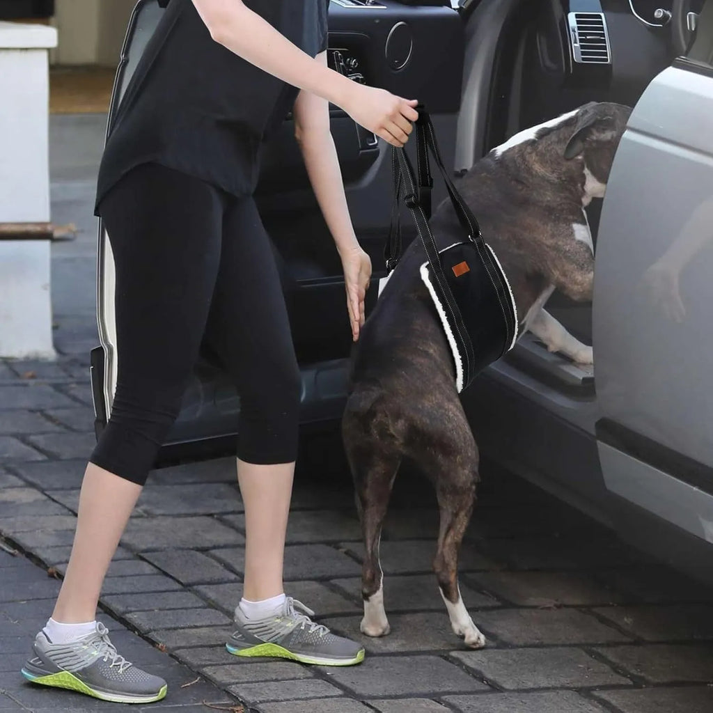 Portable dog sling for hind leg support with adjustable reflective nylon straps and padded handle