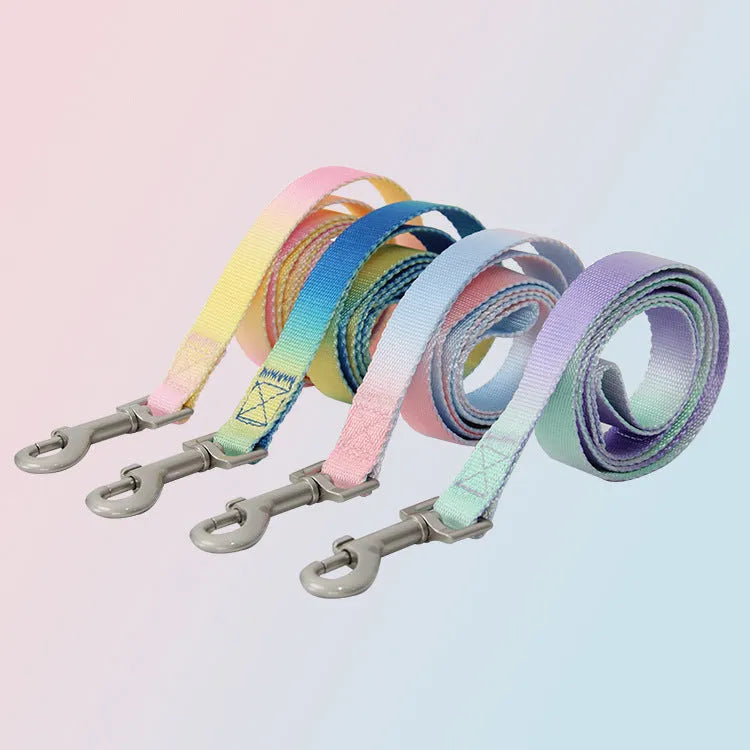 Pink and blue gradient nylon dog leash set with collar and chest strap harness on a white background.
