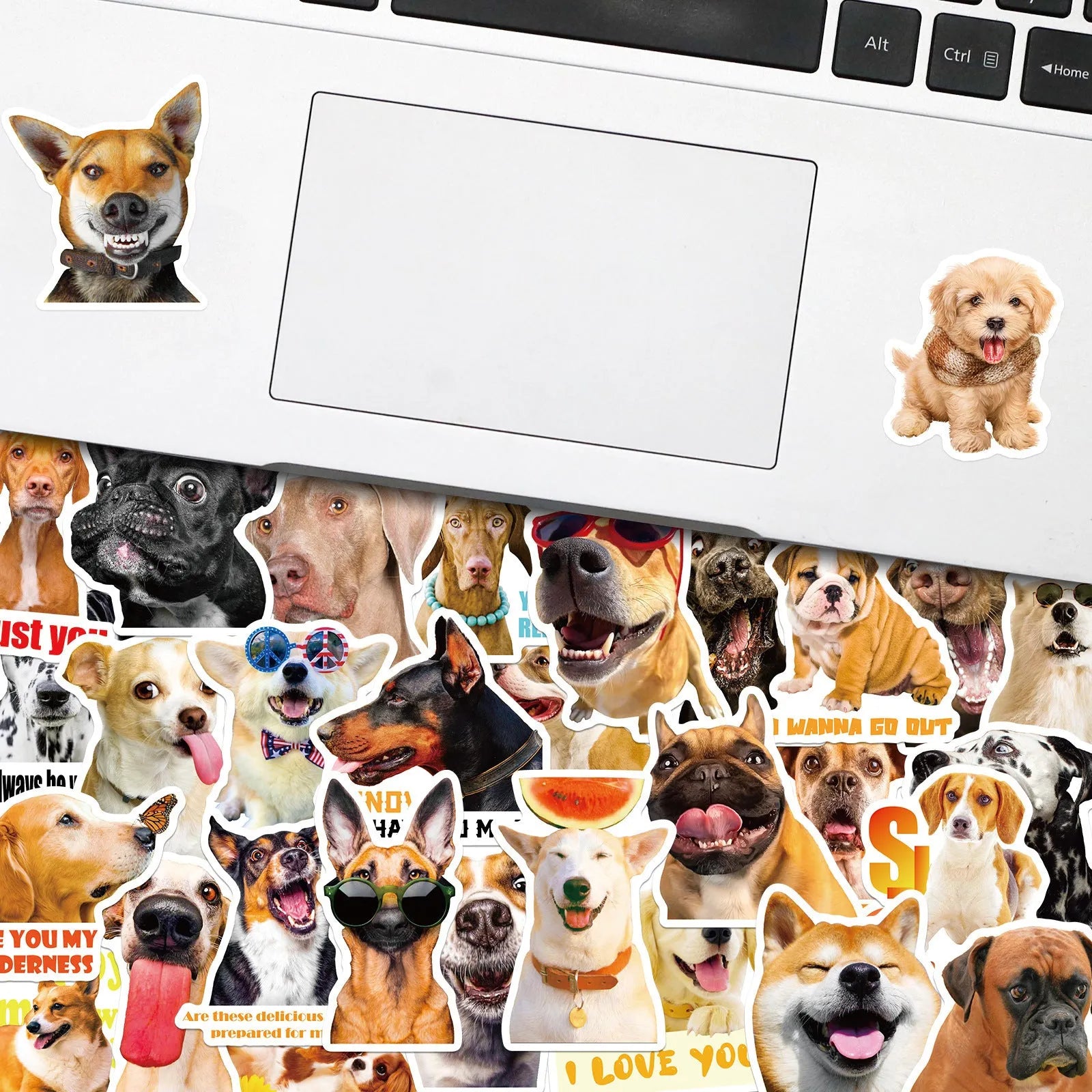 Realistic dog facial expression sticker pack with 100 sheets in Nordic style design