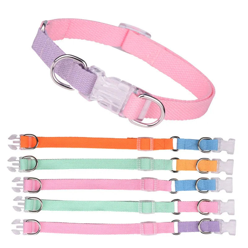 Polyester ribbon dog collar set with lead and chest strap in green and pink, adjustable size for small dogs
