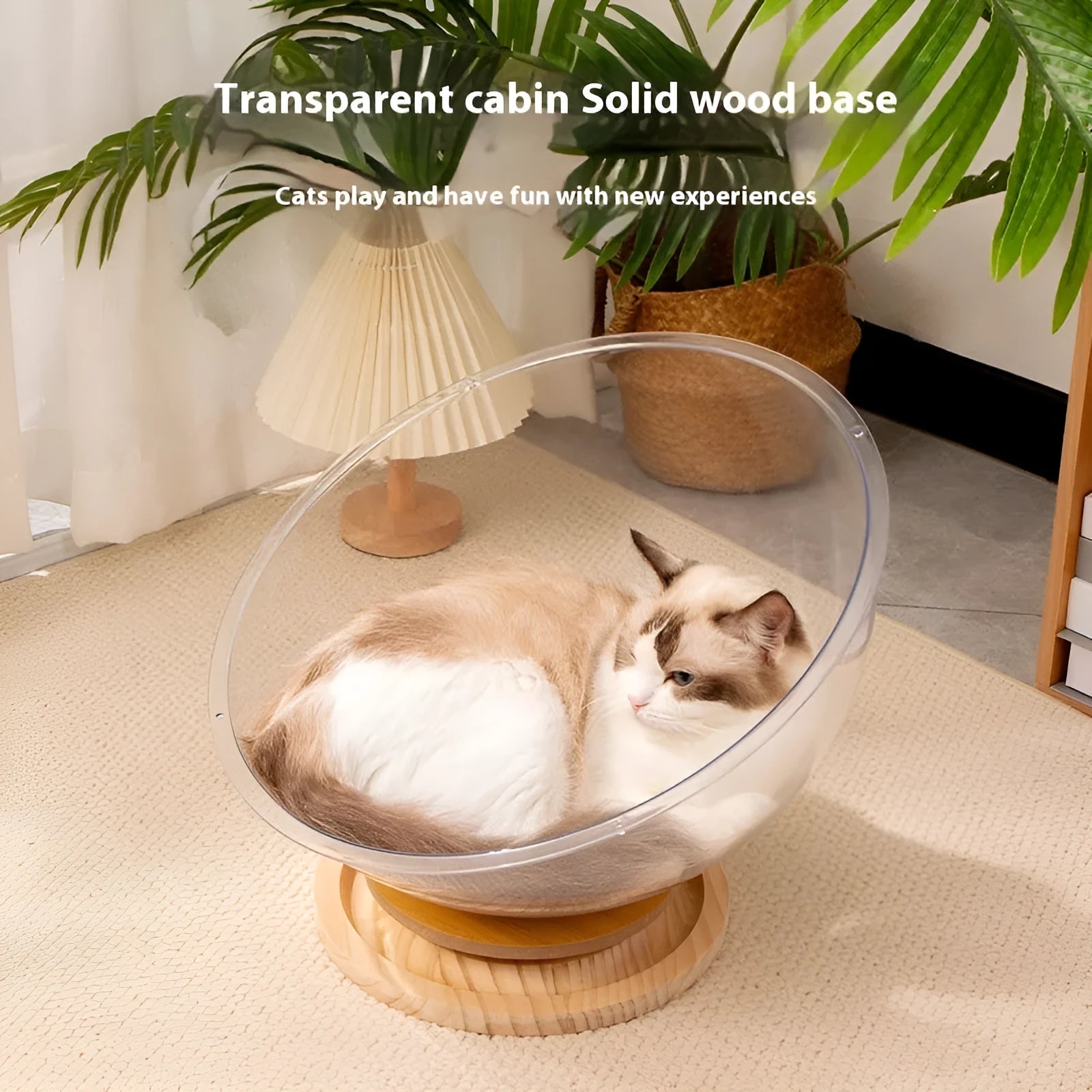 Transparent acrylic space capsule cat bed on wood board base