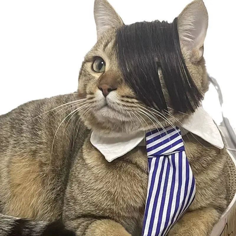 Black polyester cat wig with long imitation braid for fox costume dress up