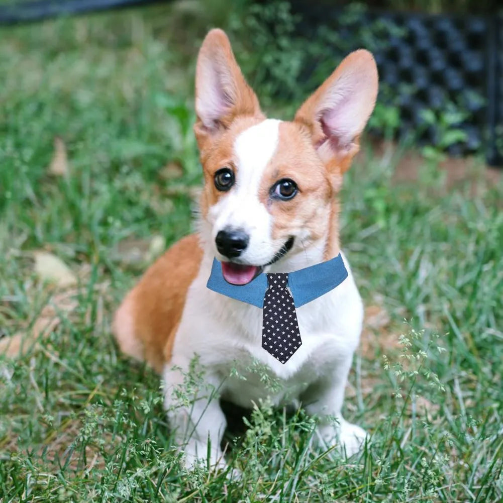 Denim pet collar with star pattern necktie, adjustable fastener tape, on a light background
