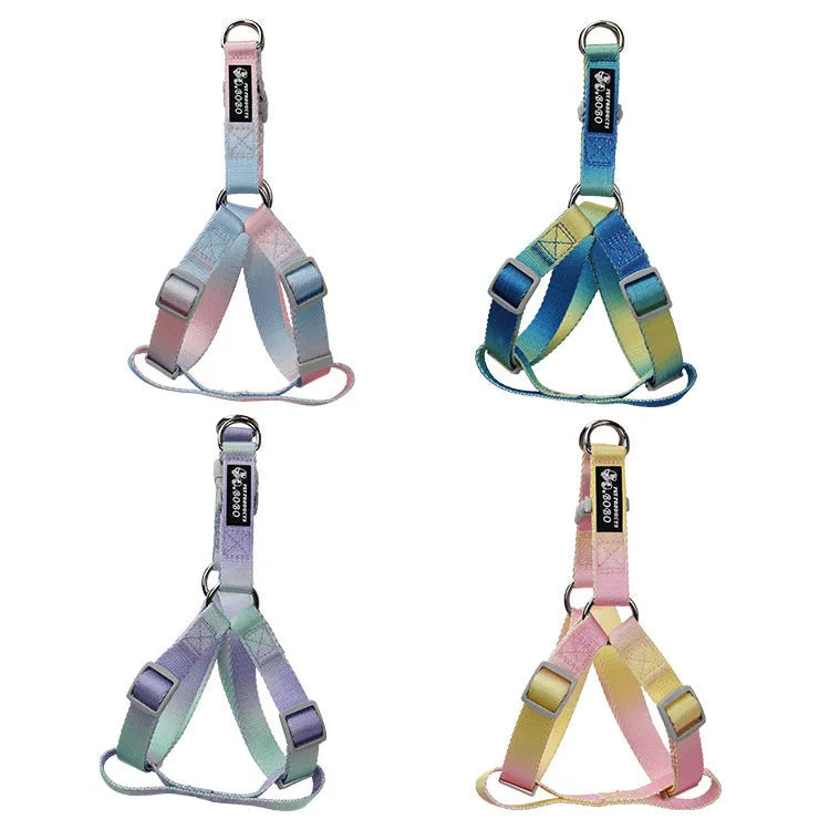 Pink and blue gradient nylon dog leash set with collar and chest strap harness on a white background.