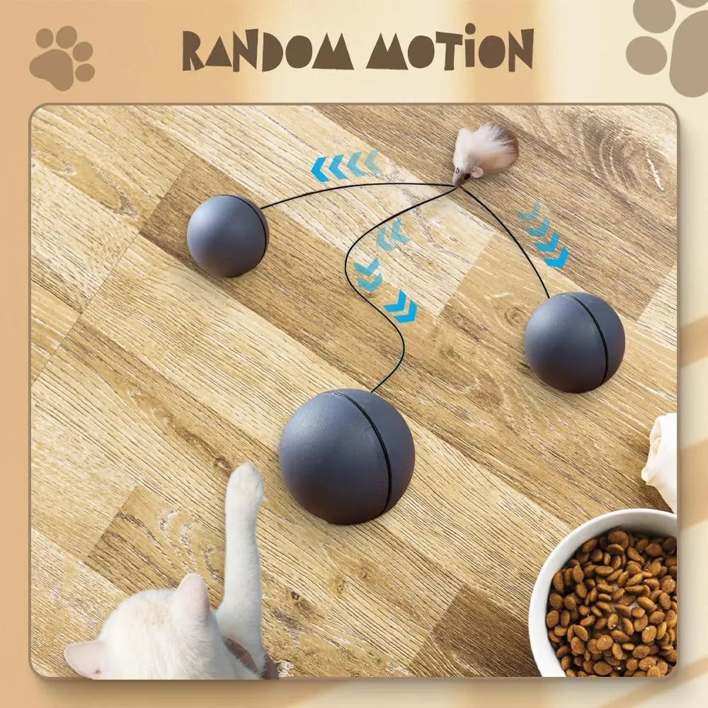 Automatic interactive cat ball toy in blue orange colour, self-rolling motion for indoor pets
