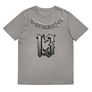 Loose straight cut cotton T-shirt with short sleeves and round neck in grey colour