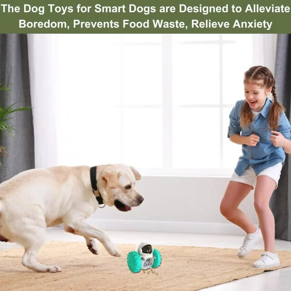 Dog treat dispenser tumbler toy in five colours for small dogs and cats
