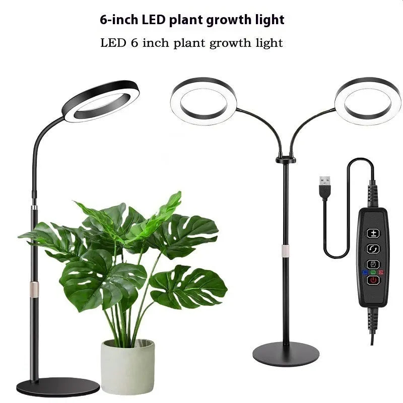 White 6-inch angel ring LED grow light on a retractable silver tripod stand for indoor plants.