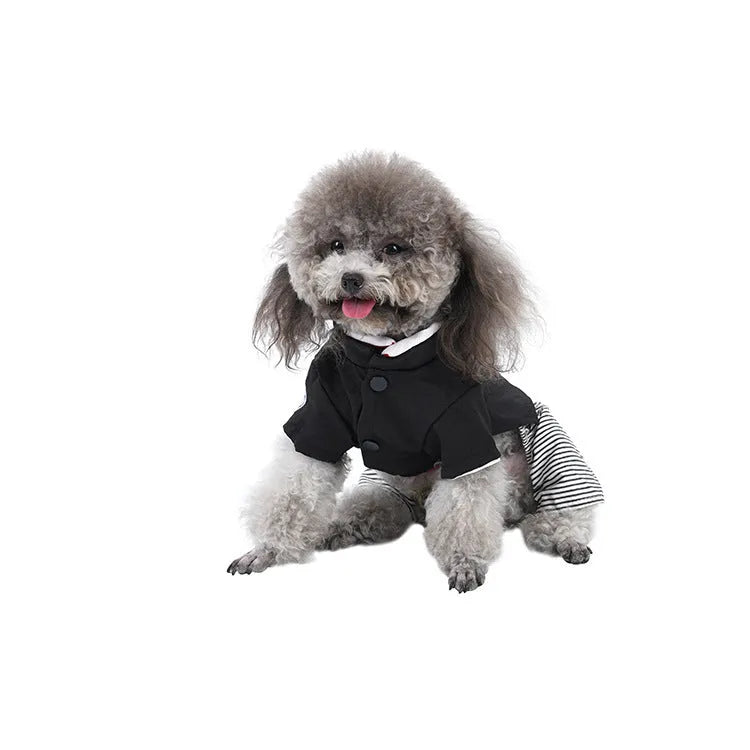Lightweight cotton poodle clothes available in four sizes with pants or skirt options