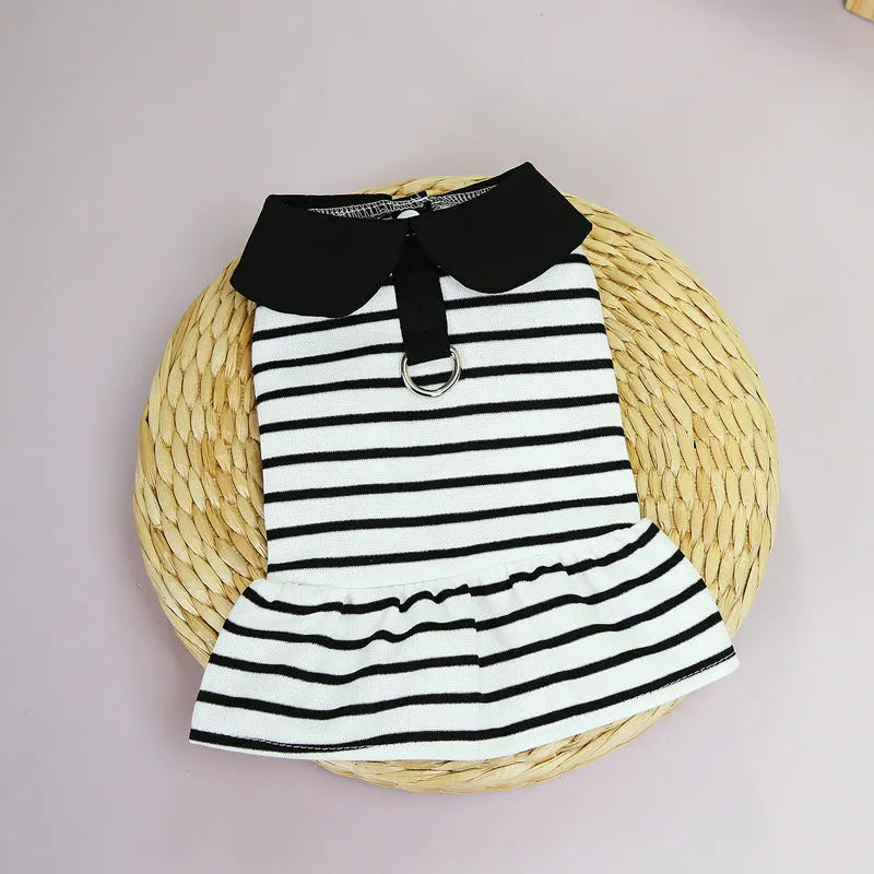 Pet wearing striped skirt and matching T-shirt summer outfit set