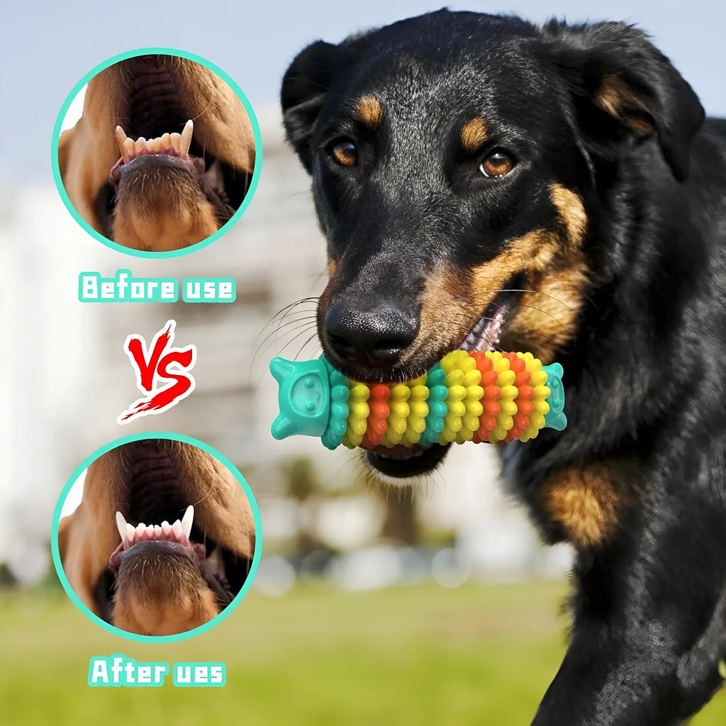Blue caterpillar-shaped natural rubber dog chew toy for aggressive chewers.