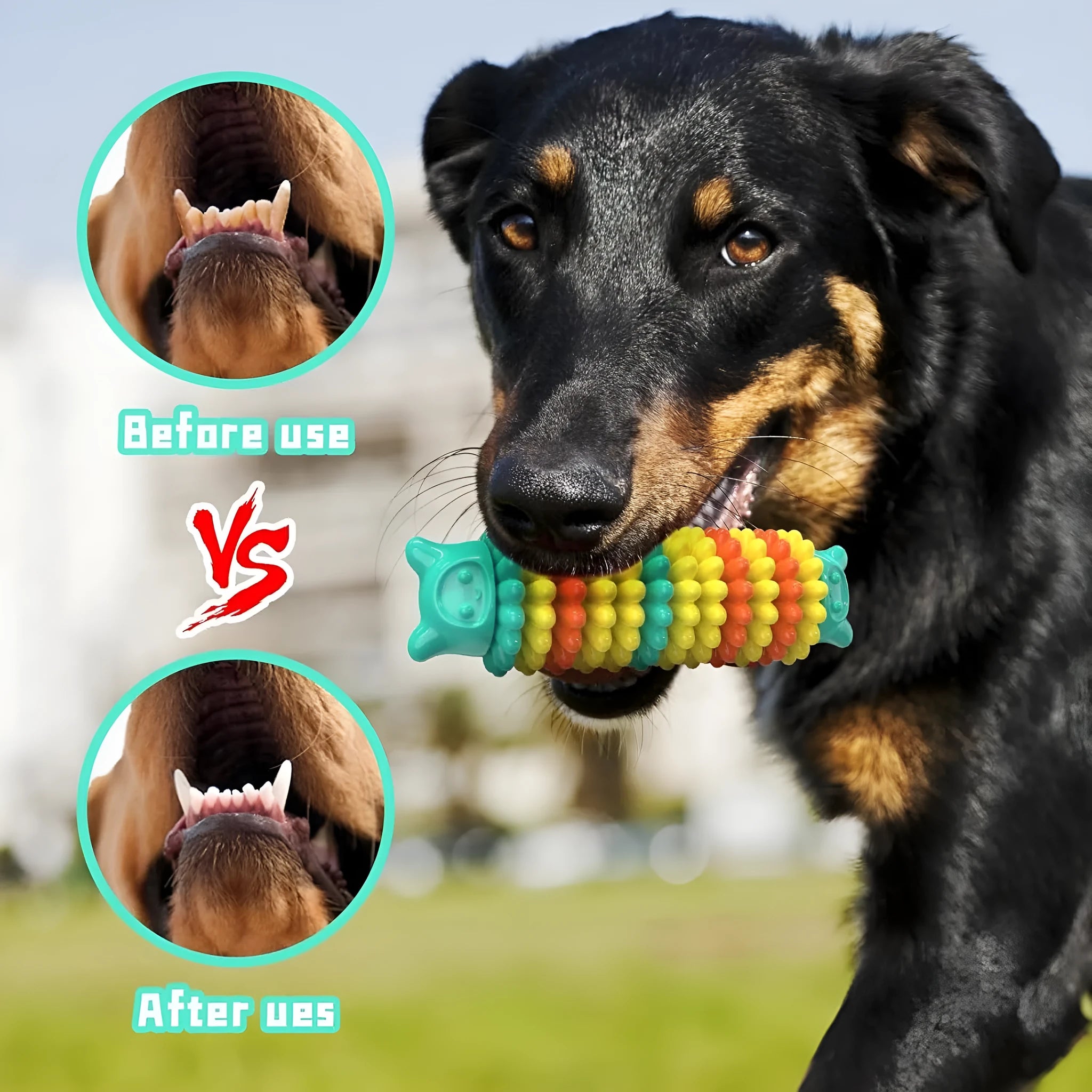 Blue caterpillar-shaped natural rubber dog chew toy for aggressive chewers.