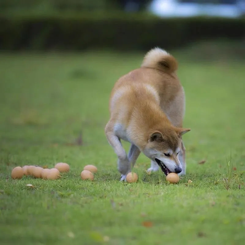 Simulation egg dog toy with sound for tooth cleaning made of non-toxic TPR material