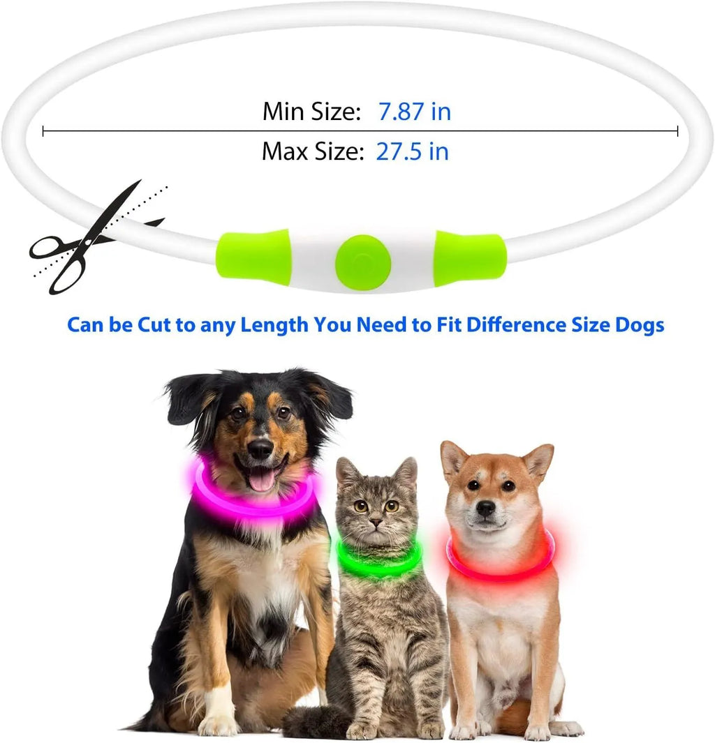 Blue LED dog collar glowing around dog's neck with USB charging cable