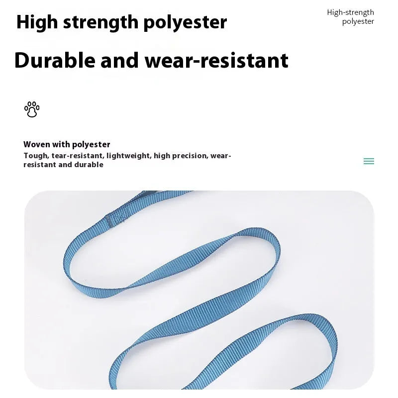 Solid colour polyester dog lead rope shown in blue, with a hand holding the loop and a dog clip at the other end.