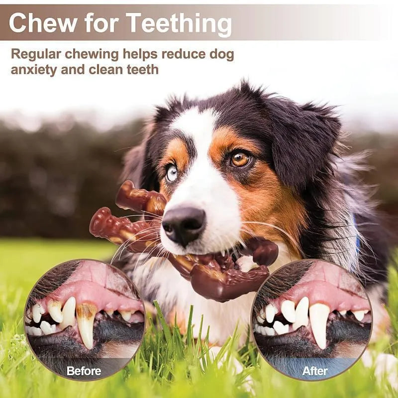 Scarlet coloured nylon dog chew toy with beef flavour and molar nibbling design