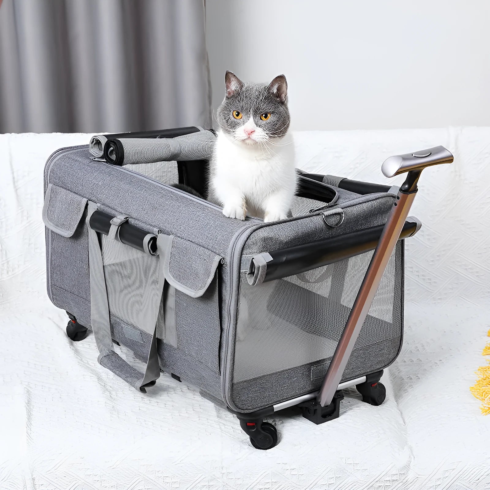 Foldable pet trolley bag in Oxford material with 17.50kg load capacity, solid colour design for cats and small dogs
