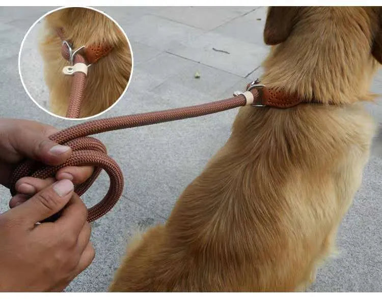 Brown nylon dog leash with a metal P-chain integrated into the handle loop.