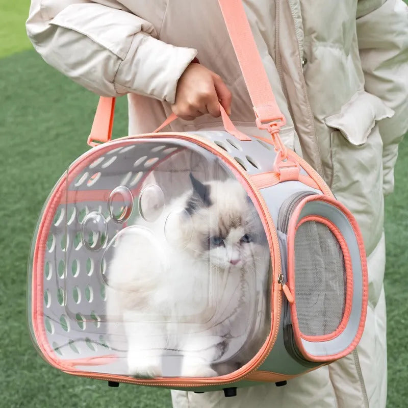 Large transparent hard EVA space capsule-style cat backpack carrier in grass green colour.