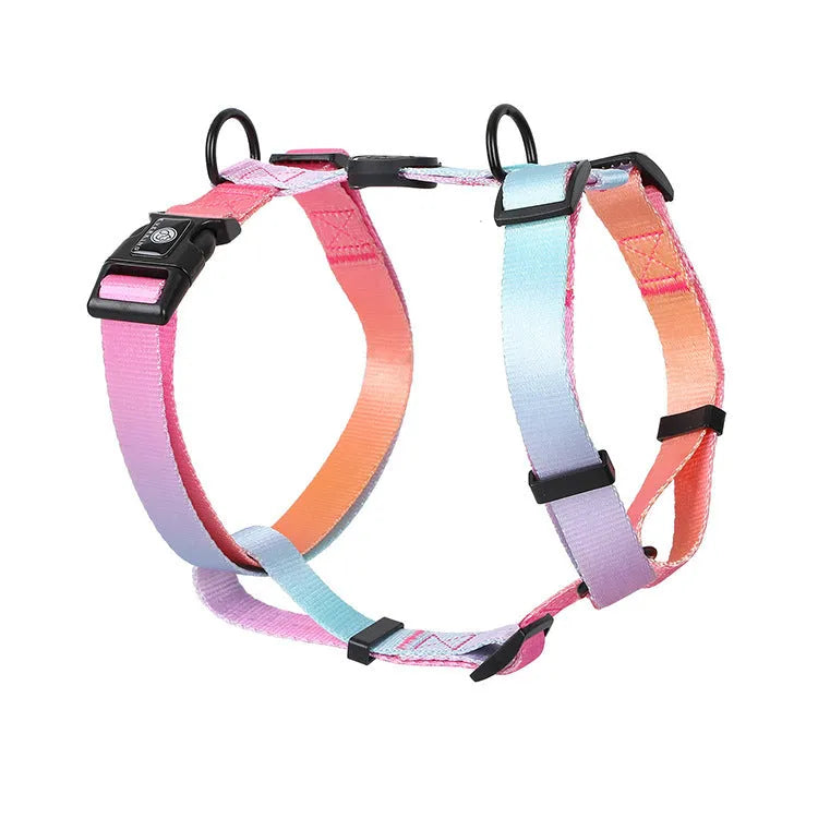 Gradient colour dog harness on a dog, showing the chest and back strap in a purple design.