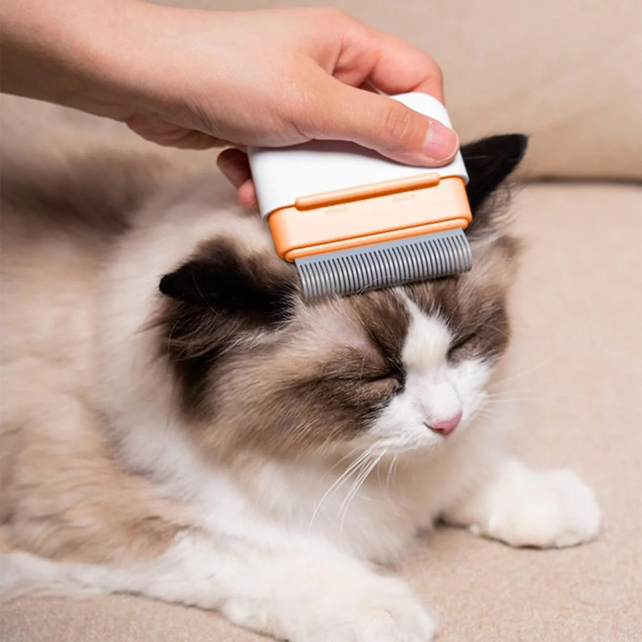 Blue double-sided pet grooming comb for removing loose and tangled hair from cats and dogs
