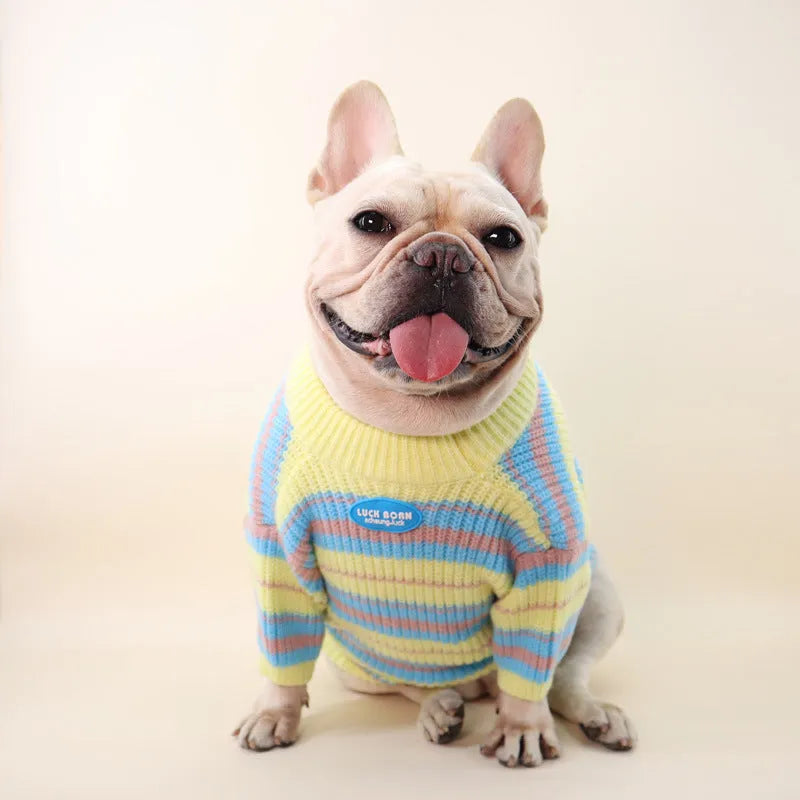 Blue and yellow striped wool sweater for small dog breeds on mannequin showing size options