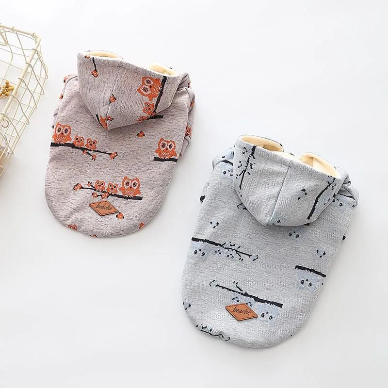 Blue casual cotton dog sweater with zipper and dog pattern on coat