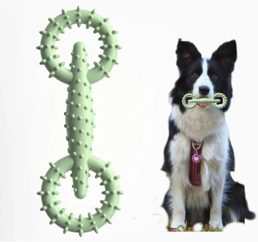 TPR thermoplastic rubber dog chew toy ring in blue green or pink measuring 16cm by 5.8cm