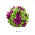 Purple plush dog knots seaweed ball toy with approximately 15cm diameter for chewing and fetch games