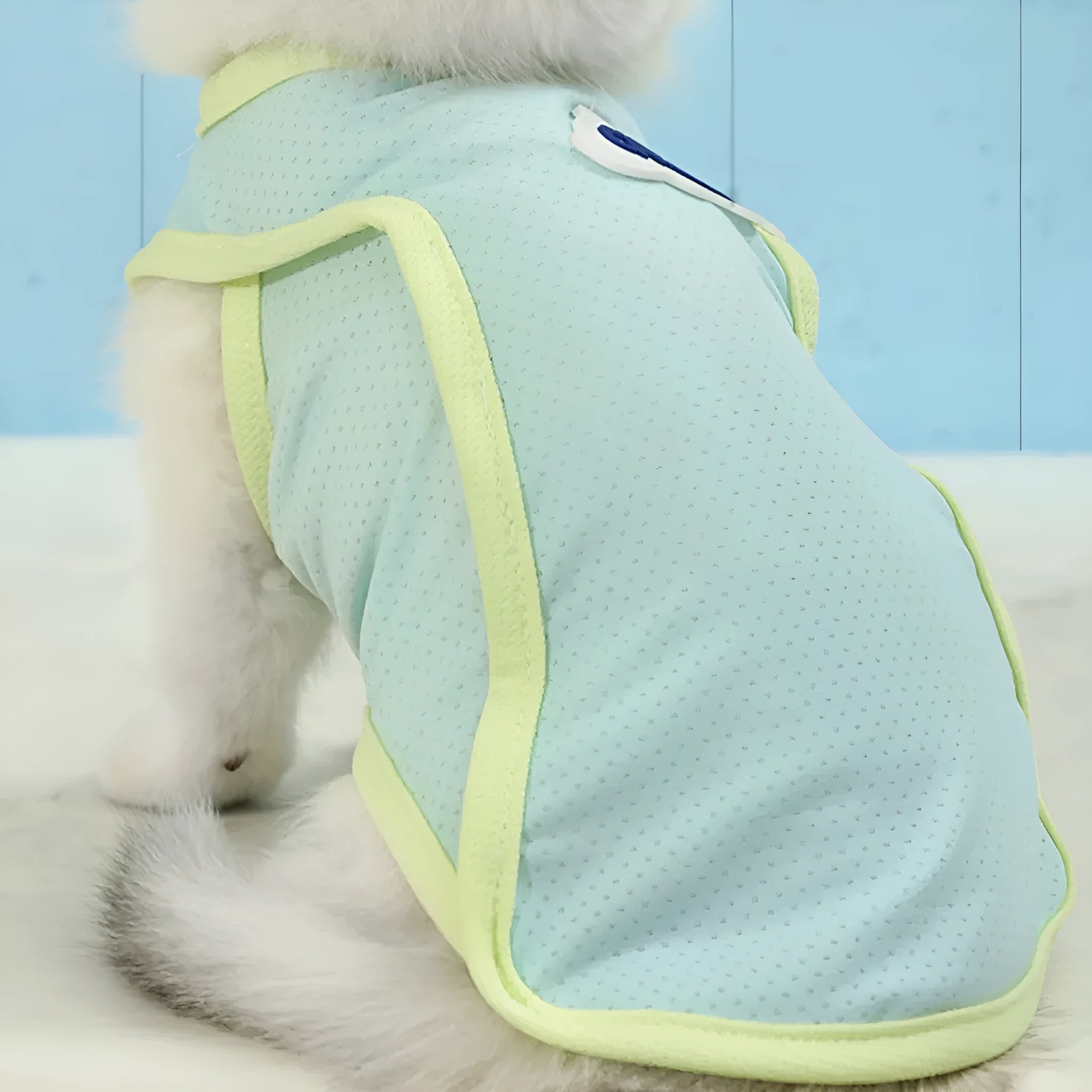 Grass green polyester cat vest with sports style design for summer wear
