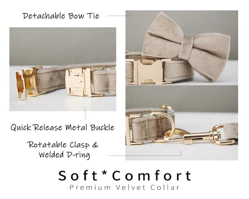 Velvet dog collar with matching leash and bow tie in multiple colours adjustable sizes XS to XL