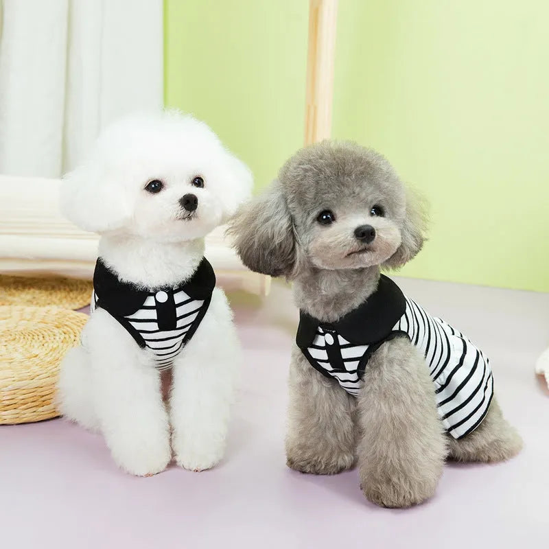 Pet wearing striped skirt and matching T-shirt summer outfit set