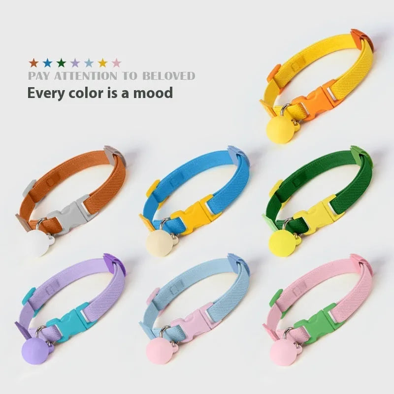 Solid colour elastic polyester dog collar for small dogs, shown in seven colour options.