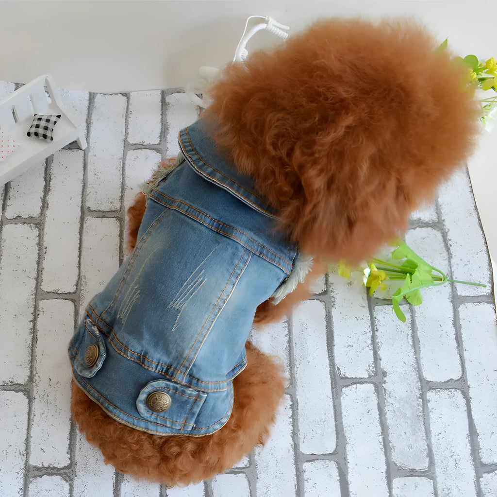 Denim dog vest with distressed retro scratch pattern design for small breed autumn winter wear