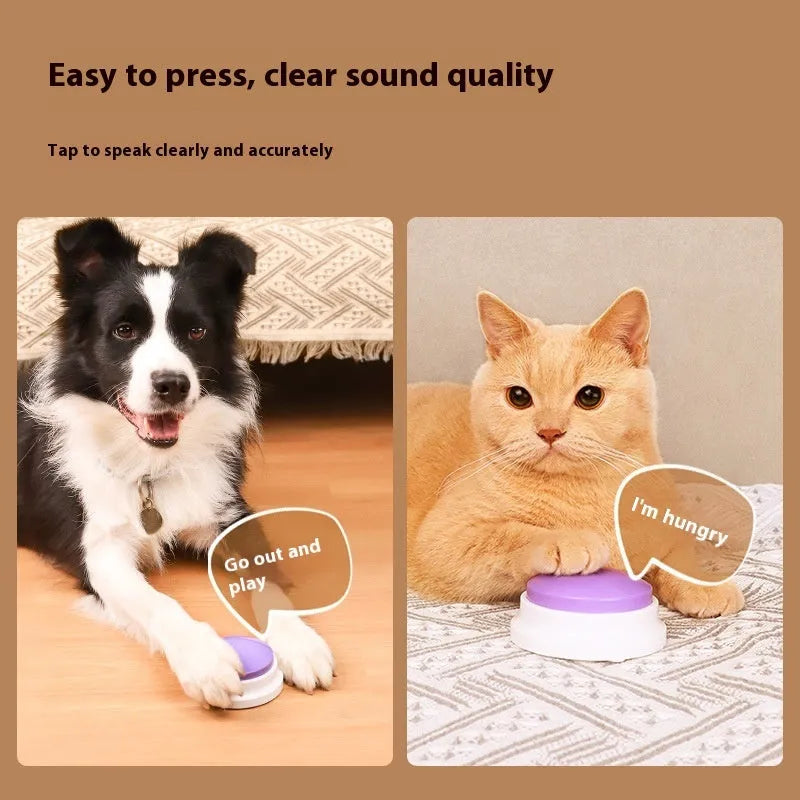 Plastic pet communication button dog voice toy in recording macaron purple on a flat surface